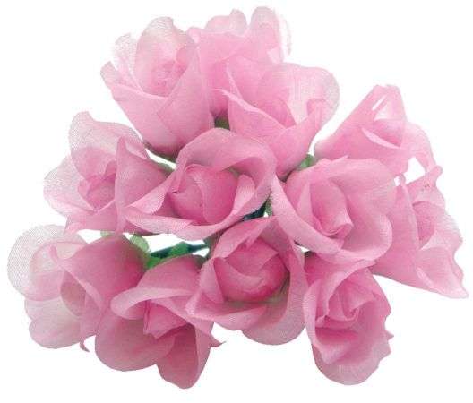 Rose 20mm u/blad - L.rosa