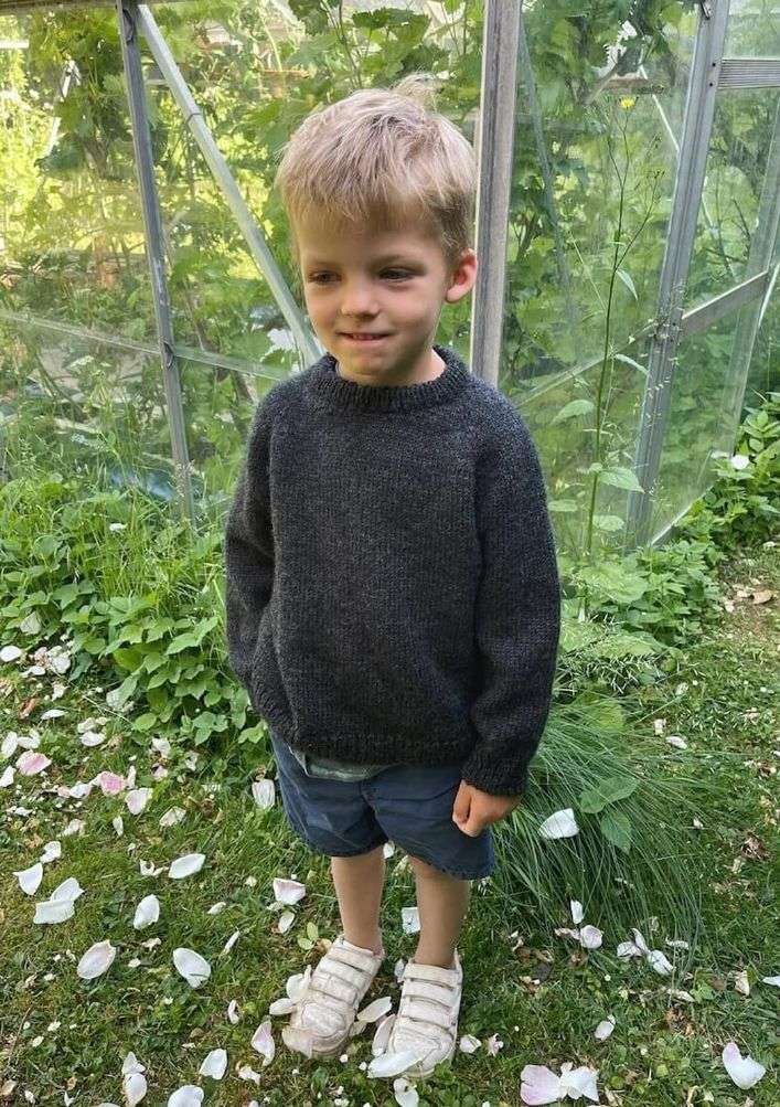 Petite Knit Hanstholm Sweater Junior