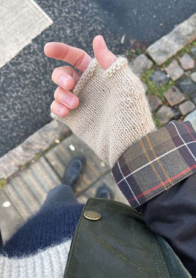 Petite Knit Penny Gloves