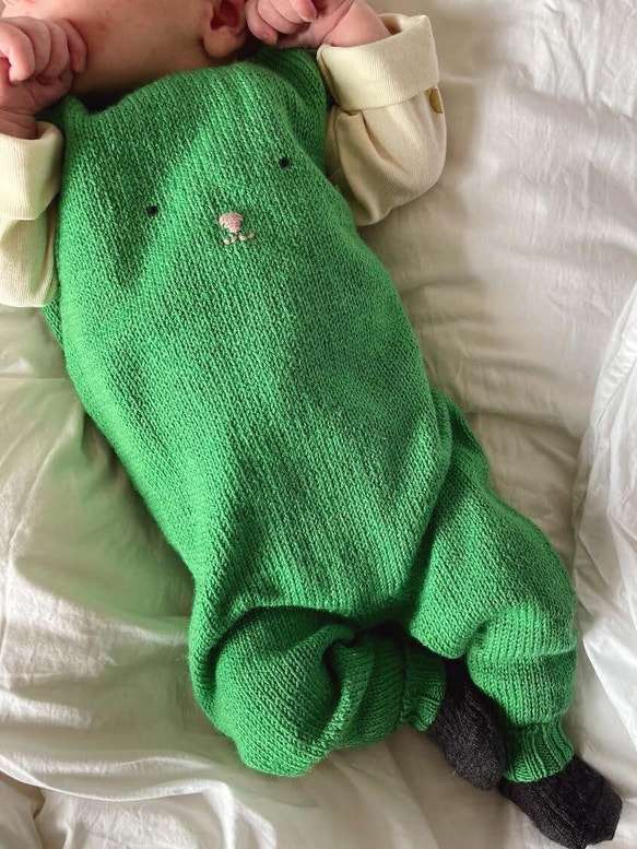 Petite Knit Teddy Pants